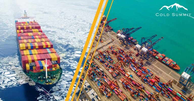 Why Cold Storage Near Ports Is the Future of Global Perishables