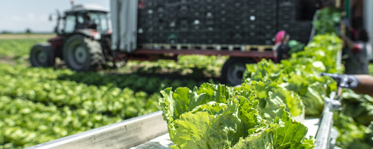 Bridging the Gap: How Cold Storage Can Connect Ag Producers and Global Logistics